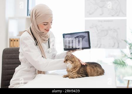 Esperto di veterinaria che esamina i raggi X del gatto su tablet digitali in clinica Foto Stock