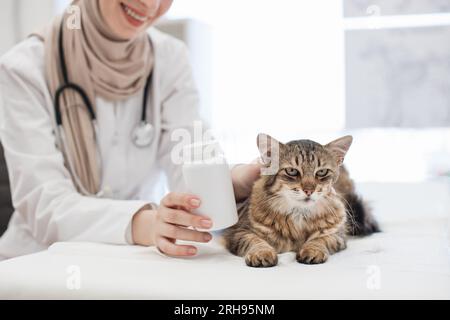 Gatto adulto sdraiato sul lettino da esame vicino al veterinario con flacone di pillole Foto Stock