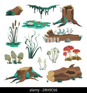 Set di immagini isolate di foreste selvatiche con tronchi di muschio funghi ed elementi di palude su illustrazione vettoriale di sfondo vuoto Illustrazione Vettoriale