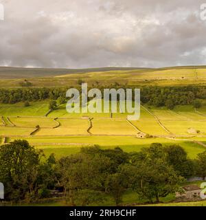 Tipico paesaggio pascolo vicino a Kettlewell, Yorkshire Dales, Yorkshire, Inghilterra, Regno Unito Foto Stock