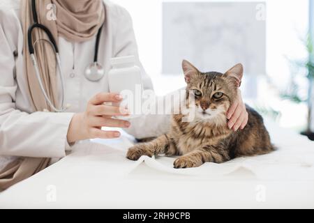 Gatto adulto sdraiato sul lettino da esame vicino al veterinario con flacone di pillole Foto Stock