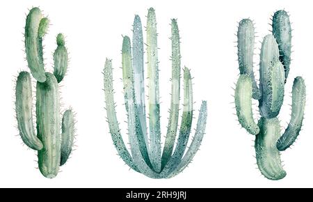 Set di acquerelli di cactus e piante succulente isolate su sfondo bianco. Illustrazione floreale per progetti, biglietti di auguri e inviti. Foto Stock