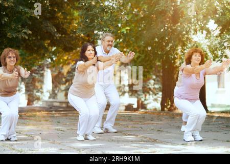 Gruppo di persone attive e anziane, uomini e donne che si allenano all'aperto nel parco, facendo esercizi di riscaldamento Foto Stock