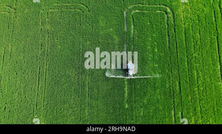 HUAI'AN, CINA - 15 AGOSTO 2023 - gli agricoltori guidano macchine per la protezione delle piante al calore per controllare parassiti e malattie nei campi di riso a hai'An City, J Foto Stock