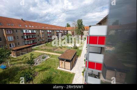 14 agosto 2023, Sassonia-Anhalt, Halle (Saale): Veduta di un cortile paesaggistico della cooperativa Bauverein Halle nel Lutherviertel. Il Ministero federale delle costruzioni tedesco aveva sostenuto la trasformazione del quartiere cooperativo quotato nella città di Saale fino al maggio 2022 attraverso un concetto di quartiere legato all'energia e la gestione della riqualificazione. Sei cortili sono stati completati. Foto: Hendrik Schmidt/dpa Foto Stock