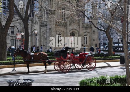 2010-10-08 - Chicago, Illinois - due persone in carrozza a cavallo davanti all'edificio con torri Foto Stock