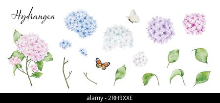 Set di elementi acquerello dipinto a mano con bouquet multicolore, steli e foglie di bouquet di ortensia e farfalla. Vettore isolato su bac bianco Illustrazione Vettoriale