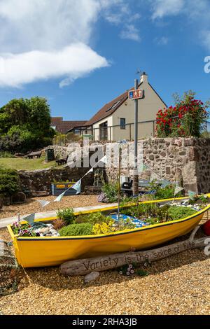 Una vecchia barca a remi usata come piantatrice nel villaggio di Lower largo, Fife Foto Stock