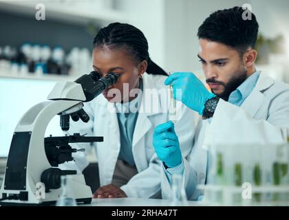 Team scientifico, impianto di provette per test e analisi al microscopio di prodotti naturali, biotecnologie e lavoro di squadra sullo sviluppo di botanica. Collaborazione in laboratorio Foto Stock