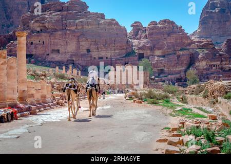 La strada colonnata che attraversa l'antica città di Petra con il tempio di Qasr al-Bint (Dushares) davanti. Foto Stock