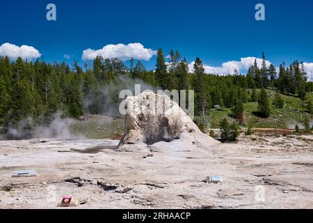 Giant Geyser, Upper Geyser Basin, Yellowstone National Park, Wyoming, Stati Uniti d'America Foto Stock