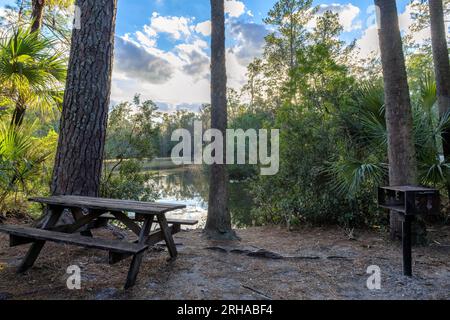 Tavoli e panchine nell'area picnic vicino al bellissimo lago circondato da alberi al tramonto Foto Stock