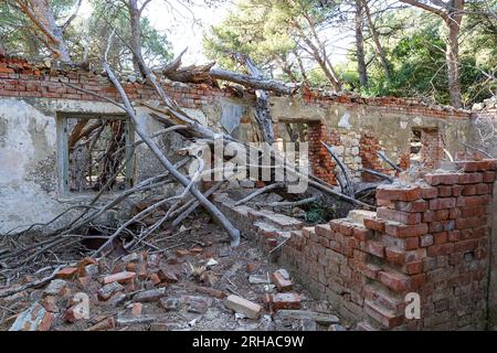 Resti di una prigione femminile abbandonata dell'epoca della ex Jugoslavia sull'isola di San Gregorio nel mare Adriatico in Croazia Foto Stock