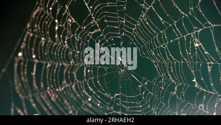 Triangolo horror cobweb o ragnatela isolato su sfondo nero, foto orizzontale Foto Stock