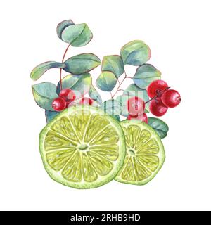 Spicchi di lime con ciuffi di eucalipto e mirtilli rossi. Succose fette di agrumi, frutti di bosco rossi maturi, foglie verdi. Illustrazione acquerello isolata su bianco Foto Stock