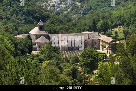 L'abbazia di Senanque vicino a Gordes è uno dei monasteri cistercensi meglio conservati. Vaucluse, Provenza, Francia Foto Stock