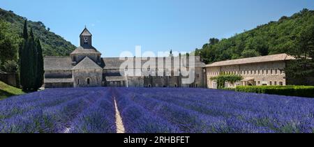 File di lavanda di fronte all'abbazia di Sénanque. Gordes, Vaucluse, Provence-Alpes-Côte d’Azur, Francia. Foto Stock