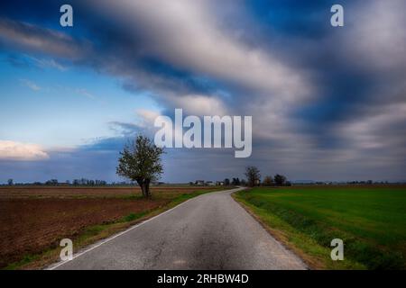 Prosegui dritto attraverso la Pianura Padana, Castelceriolo, Alessandria, Piemonte, Italia Foto Stock