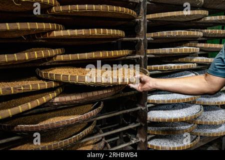 Scaffali di soia che vengono essiccati al sole prima di essere mescolati con sale marino di prima qualità, presso la fabbrica di salsa di soia artigianale Century Hao Yong Seng, a Khlong Bang Luang, comunità storica lungo il canale. “Hao Yong Seng” è l’unica fabbrica di salsa di soia fatta in casa rimasta a Bangkok, da 3 generazioni, per più di 100 anni, la famiglia non ha mai cambiato la formula e mantiene ancora il processo di produzione tradizionale, che richiede fino a 6 mesi per ottenere una bottiglia, nella comunità di Khlong Bang Luang, che era un distretto economico, questa è l'unica fabbrica di salsa di soia rimasta. (Foto di Nathali Foto Stock