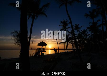 Magnifica vista delle sagome di palme che crescono sulla spiaggia di sabbia vicino al mare con la torre del bagnino contro il cielo blu e arancione durante il luminoso tramonto Foto Stock