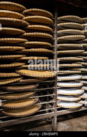 Bangkok, Thailandia. 15 agosto 2023. Scaffali di soia che vengono essiccati al sole prima di essere mescolati con sale marino di prima qualità, presso la fabbrica di salsa di soia artigianale Century Hao Yong Seng, a Khlong Bang Luang, comunità storica lungo il canale. "Hao Yong Seng" è l'unica fabbrica di salsa di soia fatta in casa a Bangkok, da 3 generazioni, per più di 100 anni, la famiglia non ha mai cambiato la formula e continua a mantenere il processo di produzione tradizionale, che richiede fino a 6 mesi per ottenere una bottiglia, nella comunità di Khlong Bang Luang, che era un distretto economico, questa è l'unica S Foto Stock