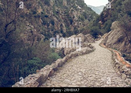 Spettacolare scenario di uno stretto sentiero in pietra curvato in una spettacolare gola rocciosa coperta di alberi verdi a Biniaraix Foto Stock