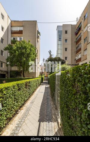 Vialetto tra edifici residenziali fiancheggiati su entrambi i lati da siepi, alberi frondosi ed erba in una giornata di sole senza nuvole nel cielo Foto Stock