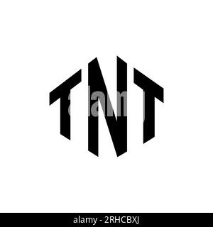 Logo TNT Letter con forma poligonale. Design con logo a forma di cubo e poligono TNT. Modello con logo vettoriale esagonale TNT in bianco e nero. TNT monogr Illustrazione Vettoriale