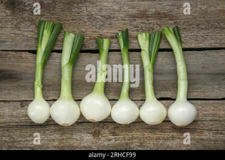 Cipolle verdi intere su tavola di legno, distesa piatta Foto Stock