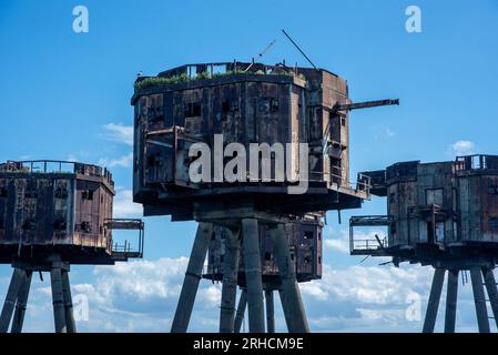 Whitstable, Regno Unito. 15 agosto 2023. I forti di Maunsell osservati con gravi difetti strutturali e molte delle loro parti caddero in mare. Al giorno d'oggi solo i gabbiani nidificano in loro. I forti Maunsell sono torri armate costruite nel Tamigi e negli estuari di Mersey durante la seconda guerra mondiale per difendere il Regno Unito. Sono stati costruiti tra il 1942 e il 1943 per la difesa antiaerea e per riferire a Londra circa l'aereo tedesco. Prendono tutti il nome dal designer Guy Maunsell. (Foto di Krisztian Elek/SOPA Images/Sipa USA) credito: SIPA USA/Alamy Live News Foto Stock