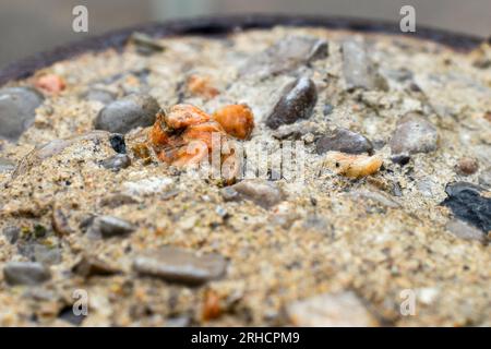 Primo piano di calcestruzzo beige chiaro con rocce e ciottoli incorporati - vista angolare bassa - sfondo sfocato Foto Stock