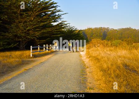 Una coppia con un cane che cammina lungo il sentiero costiero di Half Moon Bay. Foto Stock