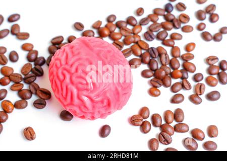 Replica anatomica rosa di un cervello umano collocata tra chicchi di caffè tostati su uno sfondo bianco. Connessione intricata tra la potenza di un caffè Foto Stock