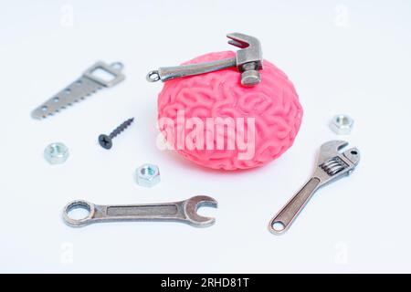 Modello di cervello umano accompagnato da un set di utensili manuali miniaturizzati come un martello, una sega, chiavi e dispositivi di fissaggio. Ricerca cerebrale, sviluppo cognitivo, Foto Stock