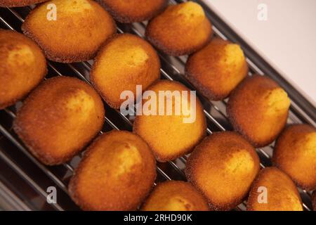 Deliziosa torta di madeleine su una griglia dopo la cottura Foto Stock