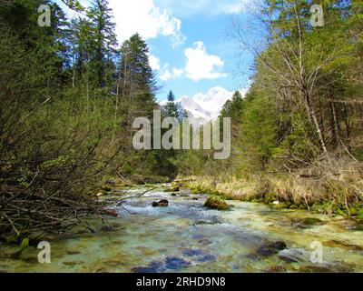 Splendido fiume Kamniska Bistrica di colore verde in Slovenia in primavera con cima innevata sulle alpi Kamnik-Savinja alle spalle Foto Stock