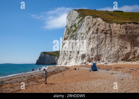 Le scogliere di gesso ondulate del Dorset a ovest di Durdle Door, vicino a Lulworth, Dorset Foto Stock