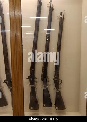 Alcuni fucili che mostrano una varietà di pistole come flintlock; moschetto; match lock; muzzle load; muzzle Foto Stock