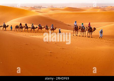 Uomini tuareg che guidano una carovana di cammelli nell'idilliaco paesaggio del deserto del Sahara, Erg Chebbi, Merzouga, Marocco Foto Stock