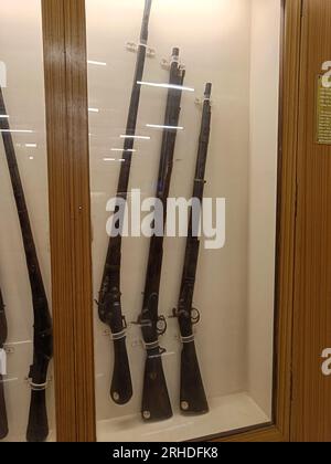 Alcuni fucili che mostrano una varietà di pistole come flintlock; moschetto; match lock; muzzle load; muzzle Foto Stock