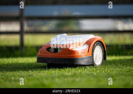 rasaerba robotizzato al lavoro in un cortile recintato con erba verde rigogliosa appena tagliata Foto Stock