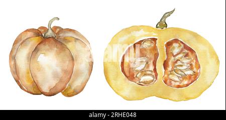 Acquerello disegnato a mano oggetto autunnale, clipart di zucca, illustrazione del raccolto, tempo di raccolta autunnale Foto Stock