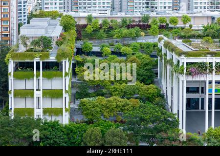 Oasis Terraces a Singapore, un tetto verde fornisce una soluzione urbana basata sulla natura per affrontare sfide ambientali come il cambiamento climatico. Foto Stock