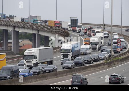 Vilvoorde, Belgio. 16 agosto 2023. Il viadotto di Vilvoorde raffigurato in vista dell'inizio di una ristrutturazione completa del cosiddetto "Viaduct van Vilvoorde - Viaduc de Vilvorde - Vilvoorde fly-over", mercoledì 16 agosto 2023, a Vilvoorde. Il ponte, ufficialmente chiamato "Viaduct Zeekanaal Brussel-Schelde", fa parte dell'autostrada circolare Ring 0 intorno a Bruxelles ed è stato costruito per la prima volta negli anni settanta del secolo scorso. La ristrutturazione della struttura complessiva, della sua struttura portante e dell'interno richiederà 8 anni. BELGA PHOTO NICOLAS MAETERLINCK Credit: Belga News Agency/Alamy Live News Foto Stock