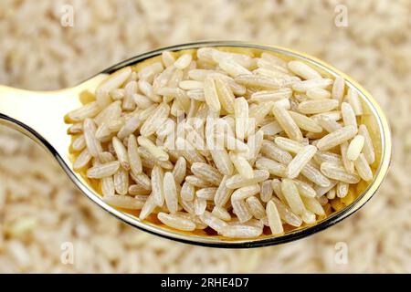 Primi piani di semi di riso integrale crudi in cucchiaio. Foto Stock