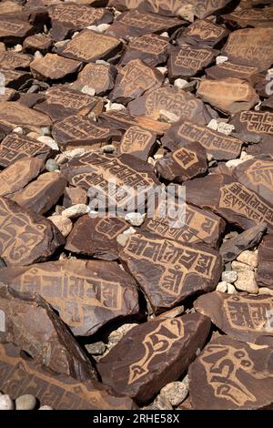 India, Ladakh, Nubra Valley, Hunder Gompa, Skalzang mani Wall, pietre con mantra inciso in alfabeto tibetano Foto Stock