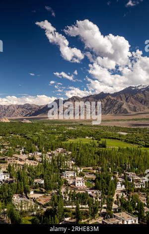 India, Ladakh, Leh Valley, vista elevata della terra agricola da Thiksey Gompa Foto Stock