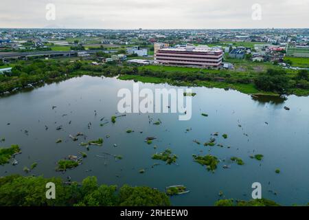 Laghetto di legno del Luodong Forestry Culture Park a Yilan, Taiwan Foto Stock