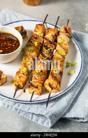 Spiedini tofu biologici alla griglia con salsa Foto Stock