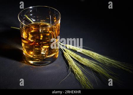 Bicchiere di whisky con ghiaccio e orecchie di malto di frumento su fondo nero Foto Stock